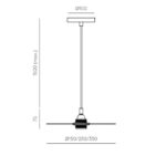 DISC C10381 W AROMAS