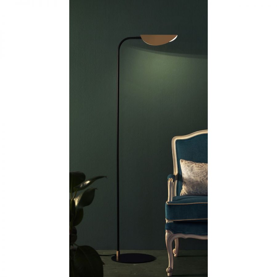 Ficus P1243 2 AROMAS