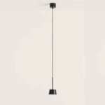 NERA C1229 1 AROMAS 1 scaled