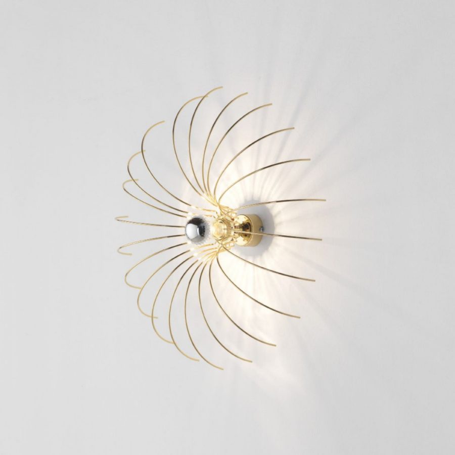 Spider A1163 1 AROMAS