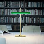 GOLDMAN 1 BIURKOWA FLOS