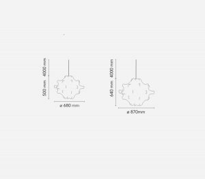 TARAXACUM W WISZACA FLOS