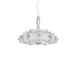 ZEPPELIN 1 WISZACA FLOS