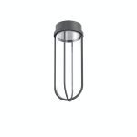 IN VITRO 1 SUFIT FLOS