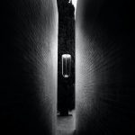 IN VITRO 2 WISZACA FLOS