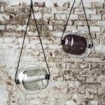 CAPSULA 7 BROKIS WISZACE