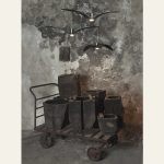 NIGHTBIRDS 13 BROKIS WISZACE