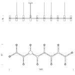 CROWNPLANALINEA W NEMO WISZACE