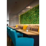 POE 9 LINEALIGHT WISZACE