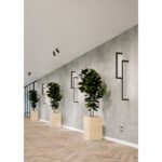 SET RAW MINI MOVE KINKIET 5 AQFORM AQUAFORM