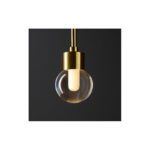 alaska big zlota arkos